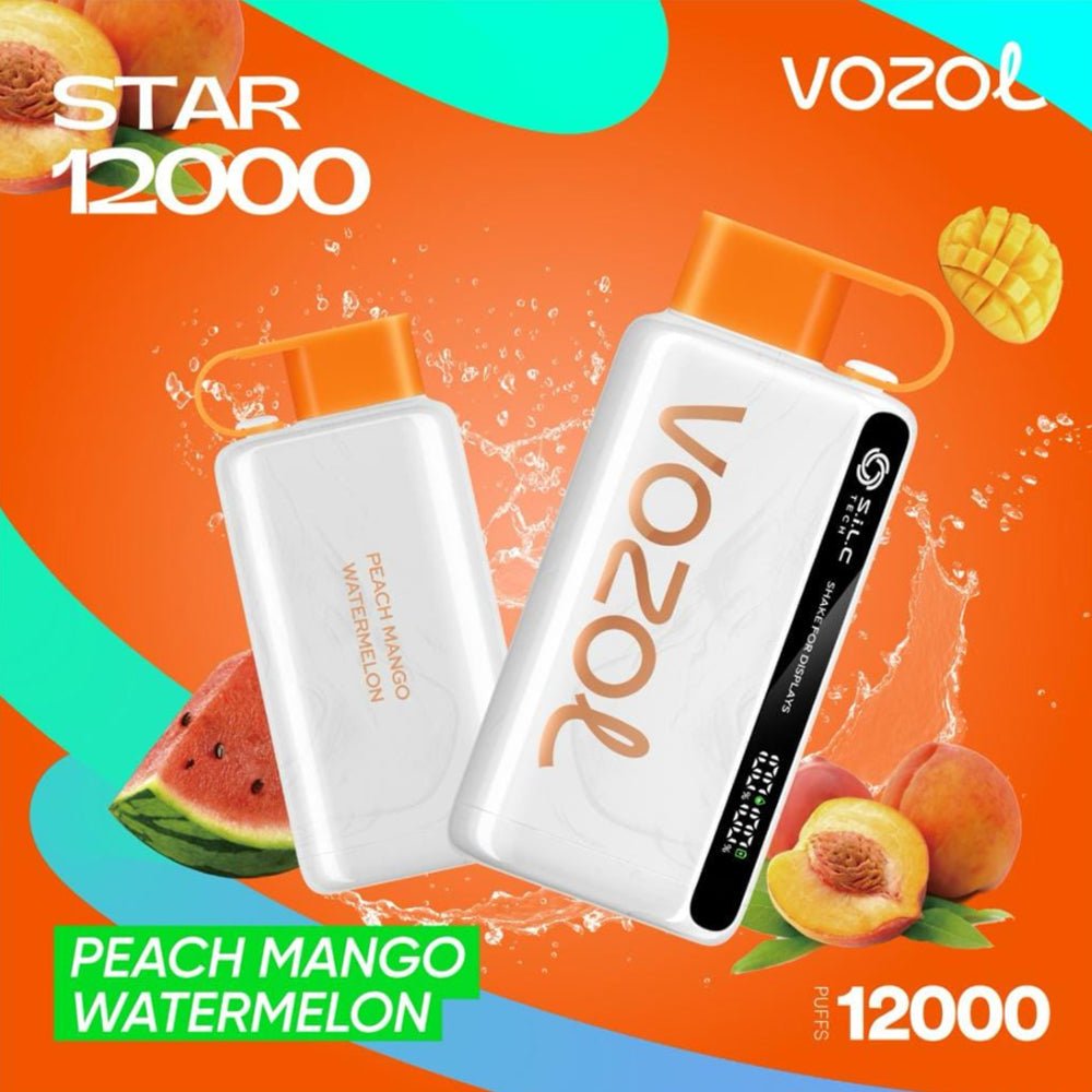 Vozol Star 12000 Puffs Disposable Vape Device - VapeBoo