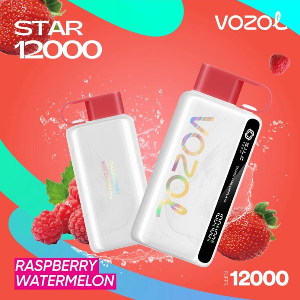 Vozol Star 12000 Puffs Disposable Vape Device - VapeBoo