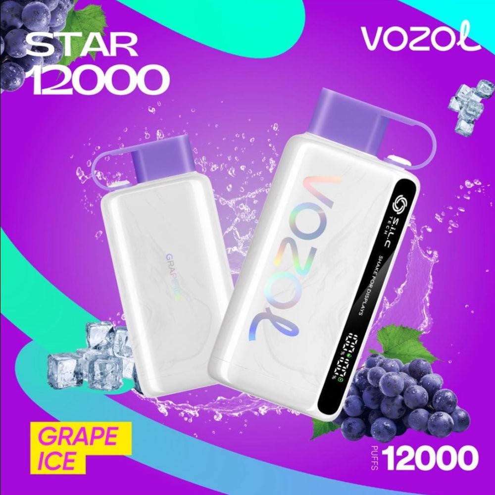 Vozol Star 12000 Puffs Disposable Vape Device - VapeBoo